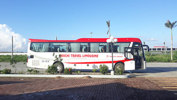 Daiichi Travel Cat Ba