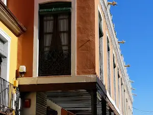 Olivo Milenario