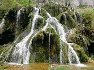 Camping de la Toupe
