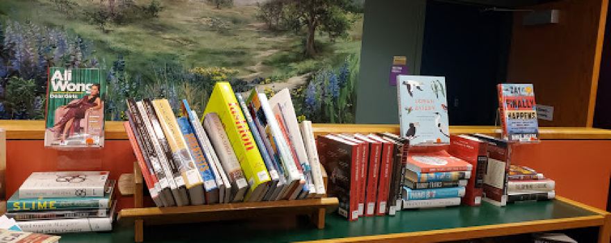 Holland Branch Library