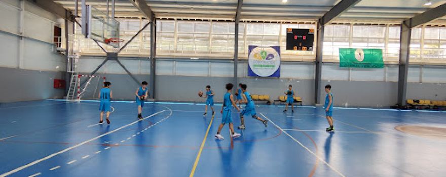 Polideportivo Pulmahue