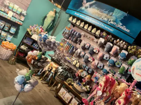 Mertailor’s Mermaid Aquarium Encounter