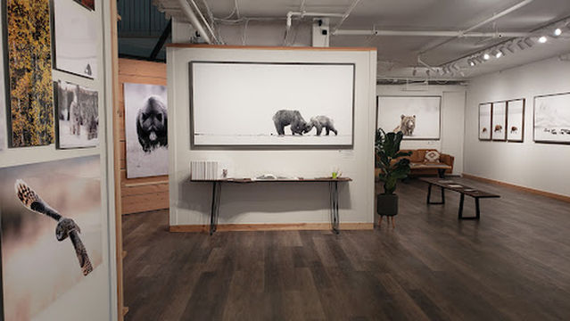 Brandon T. Brown Wilderness Gallery