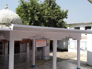 Sant baba Paramhans