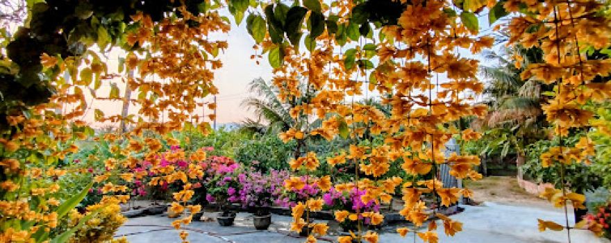 Vườn Hoa Nhà Anh Hai Cường