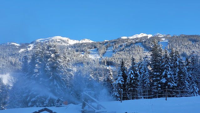 Whistler Village Guest Services