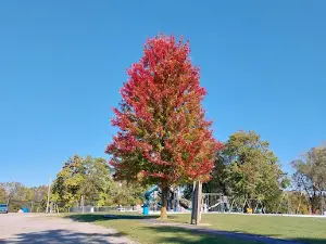 Rushsylvania Village Park