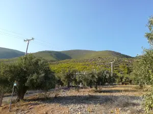 Prosili (Porto Germeno)