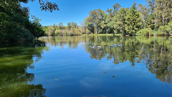 Zoológico del Altiplano