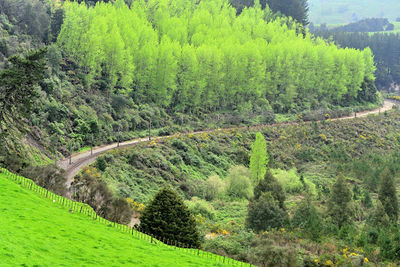 Piriaka Lookout