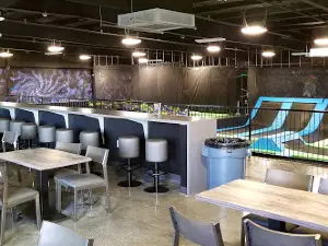 Elevate Trampoline Park