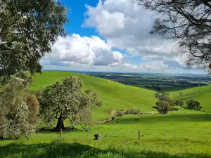 Rifle Range Lookout