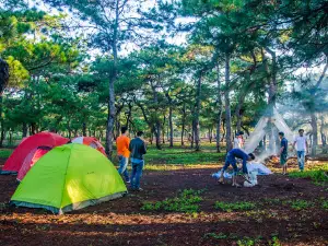 Đồi cỏ hồng Đăk Đoa - Gia Lai