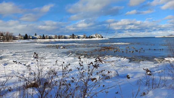 Collingwood Arboretum