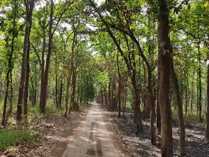 Kishanpur Wildlife Sanctuary