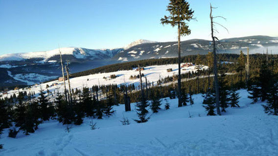 Černohorské rašeliniště