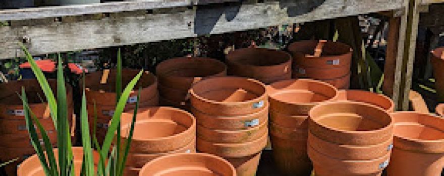 Woodlands Nurseries
