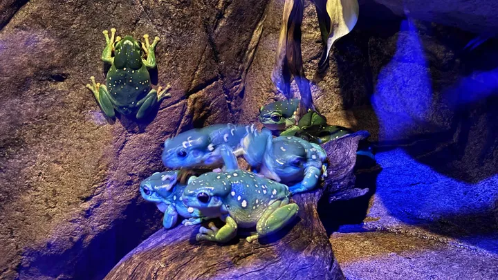 5_悉尼野生動物園