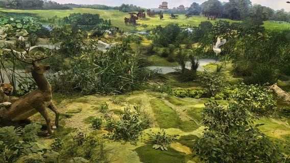 Qianjiang Longwan Site Museum