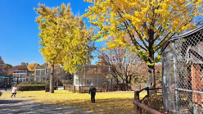 Incheon Grand Park Children's Zoo