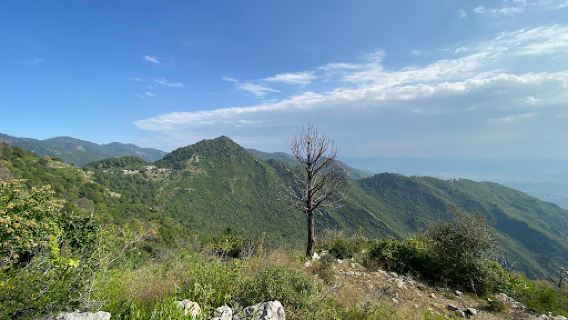 Trail 5 (Dara Janglan)