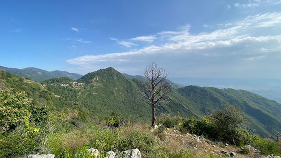 Trail 5 (Dara Janglan)