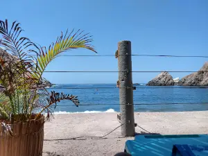 Catarindo