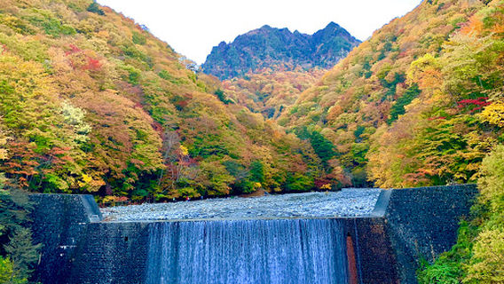 Yamanashi