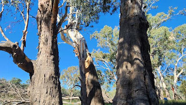 Hogwash Bend Conservation Park