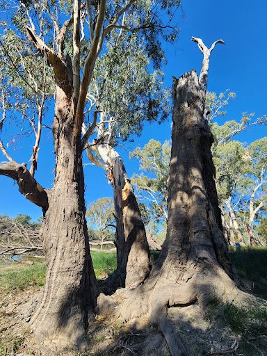 Hogwash Bend Conservation Park