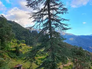 Masta mandir, मष्टा देवताकाे मन्दिर