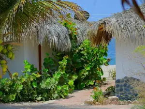 Playa Punta Veleros - Perú