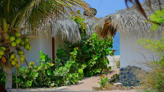Playa Punta Veleros - Perú