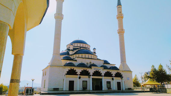SIDDIKA TAYYAR CAMii