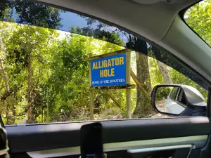 Alligator Hole