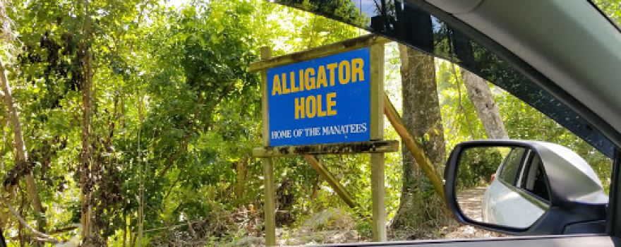 Alligator Hole