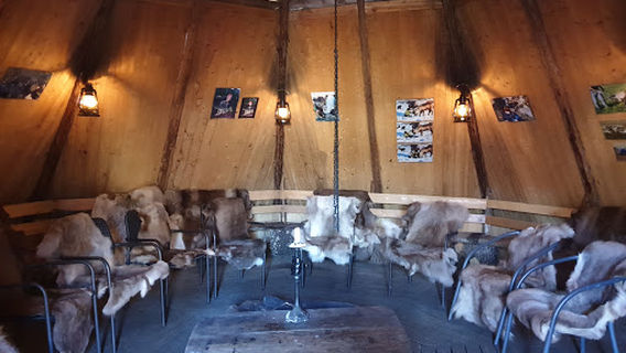 Reindeer Farm & Saami Culture