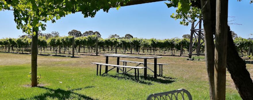 Twin Hill Wines