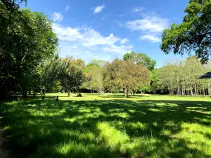 Bosco Siana
