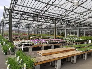 Chuck Hafner's Farmers Market and Garden Center