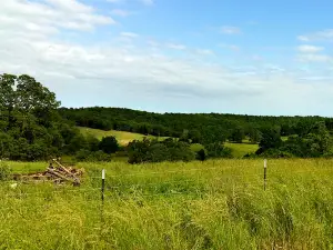 Denton Ferry RV Park & Cabin Rental