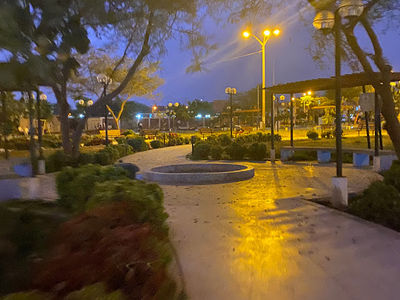 Parque De La Palma