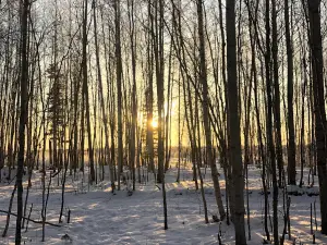 Detskiy Park "Begemot"