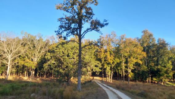 Kanha Tiger Reserve