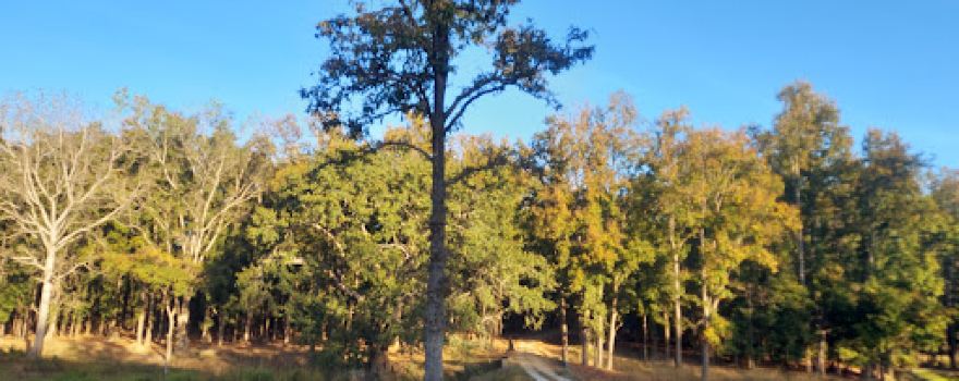 Parc national de Kanha