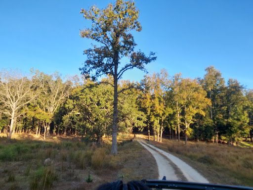 Kanha Tiger Reserve