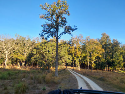 Kanha Tiger Reserve