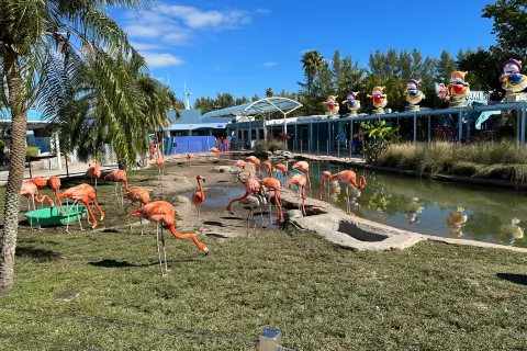 Miami Seaquarium