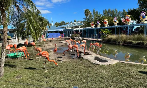 Miami Seaquarium