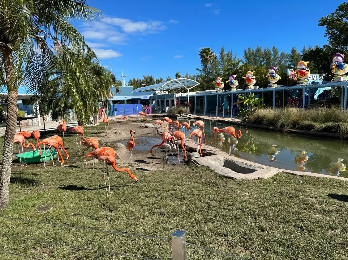 Hôtels à proximité de : Miami Seaquarium